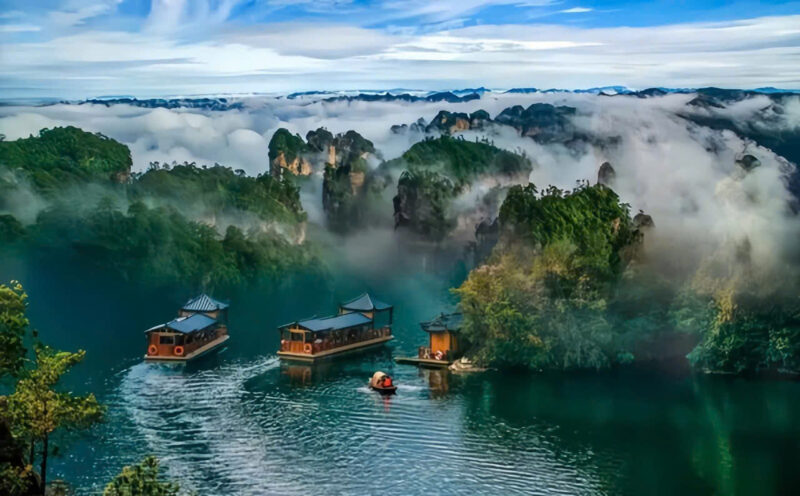 Trương Gia Giới