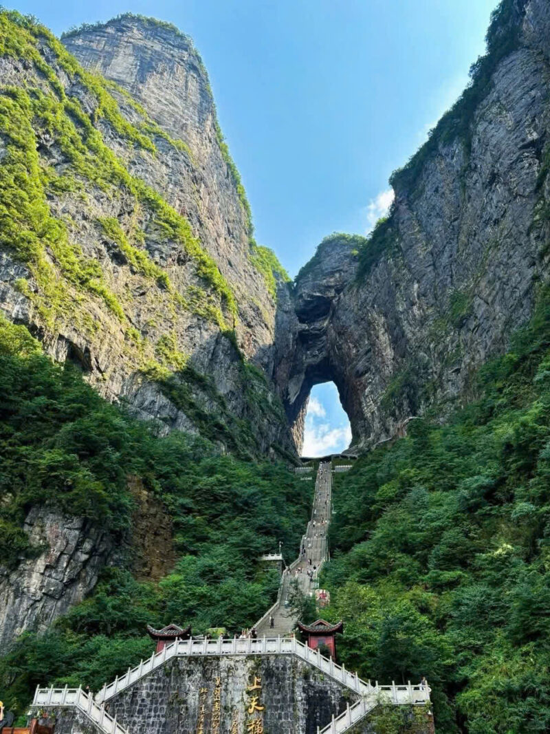 Trương Gia Giới